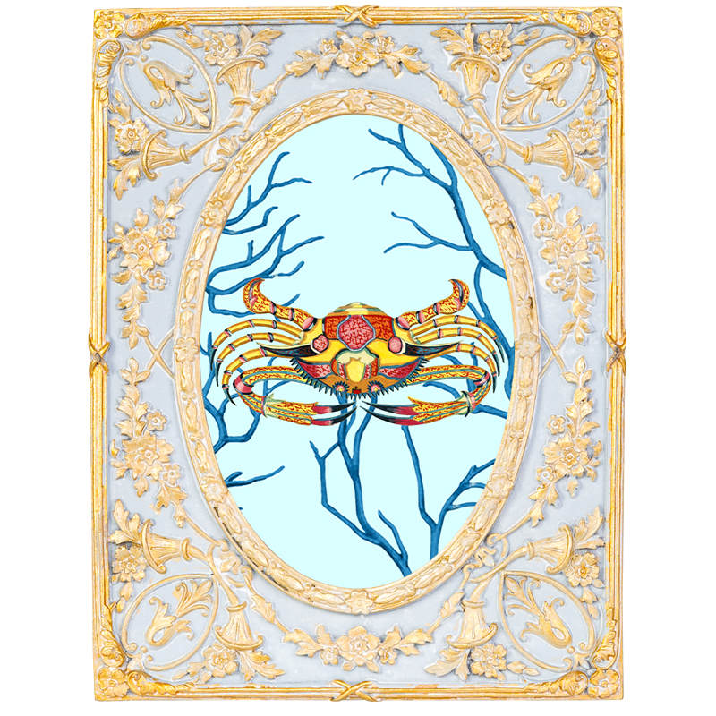 Картина в раме с золотым орнаментом Seashell Still Life 2 Мульти Золотой Голубой Картина в раме с золотым орнаментом Seashell Still Life 2 Мульти Золотой Голубой в Брянске | Loft Concept