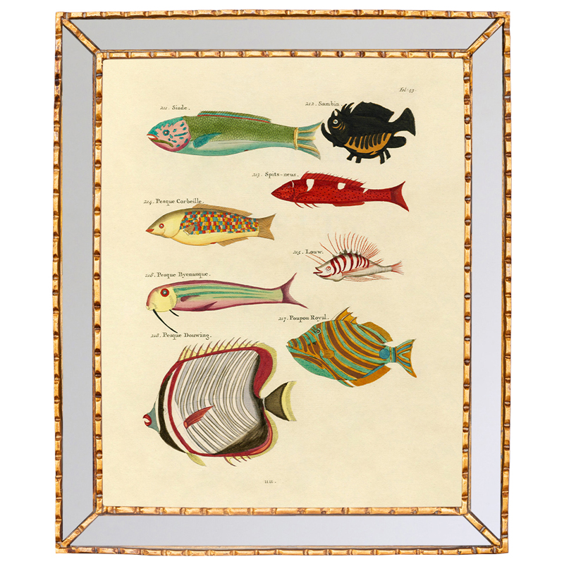 Постер в зеркальной раме Fish Guide 4 Мульти Золотой в Брянске | Loft Concept 