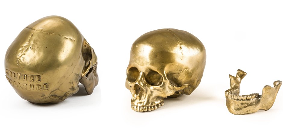 Статуэтка Seletti Wunderkrammer Human Skull Статуэтка Seletti Wunderkrammer Human Skull - Loft-Concept в Брянске