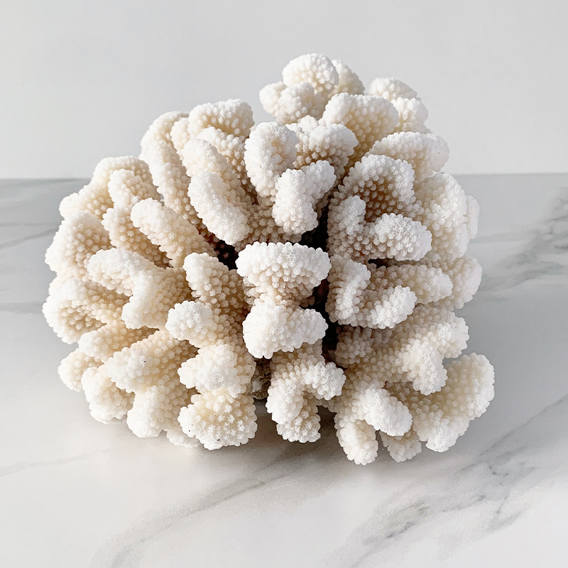Статуэтка Brownstem Coral Статуэтка Brownstem Coral в Брянске | Loft Concept