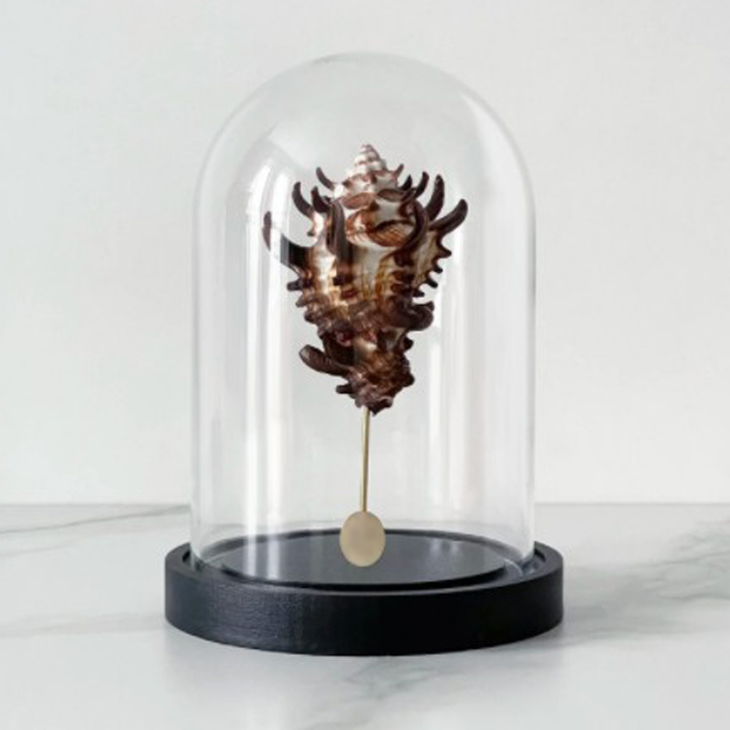 Статуэтка Vasum Tubiferum Glass Cloche Статуэтка Vasum Tubiferum Glass Cloche в Брянске | Loft Concept