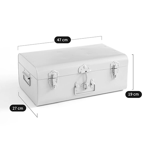 Металлический сундук Metal Chest White в Брянске