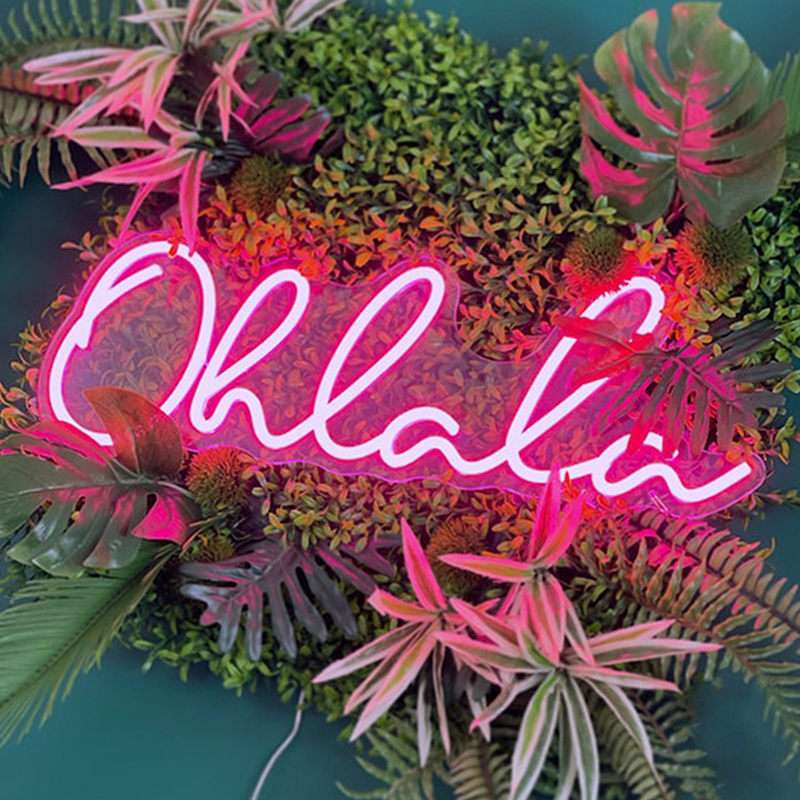 Неоновая настенная лампа Oh La La Neon Wall Lamp Розовый Розовый Прозрачный Неоновая настенная лампа Oh La La Neon Wall Lamp Розовый Розовый Прозрачный в Брянске | Loft Concept