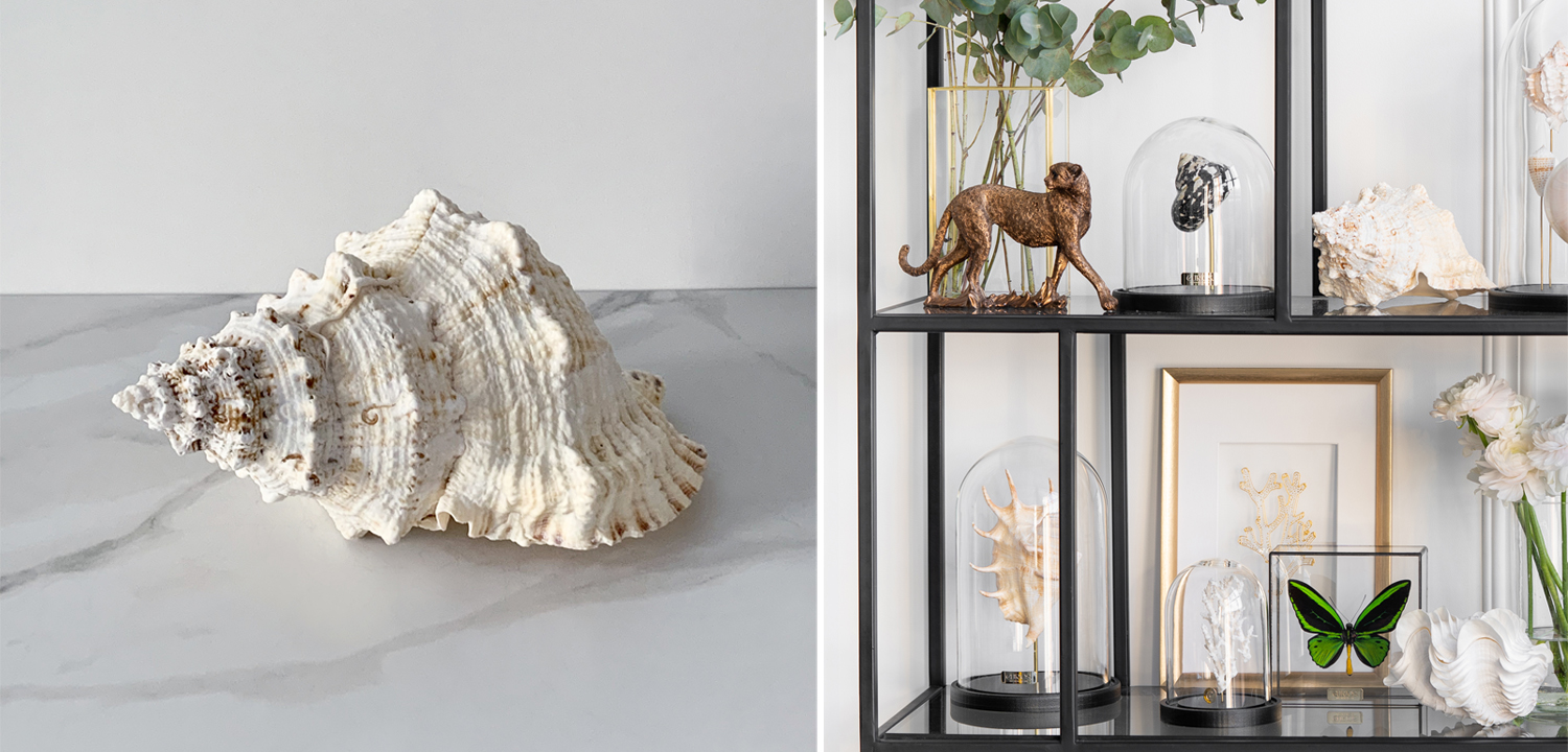 Статуэтка Bursa Bubo Shell - фото