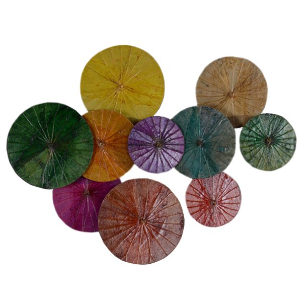Арт-объект Disc wall art Lotus leaves Мульти Арт-объект Disc wall art Lotus leaves Мульти в Брянске | Loft Concept
