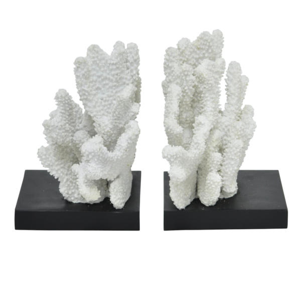 Держатели для книг White Coral Белый Держатели для книг White Coral Белый в Брянске | Loft Concept