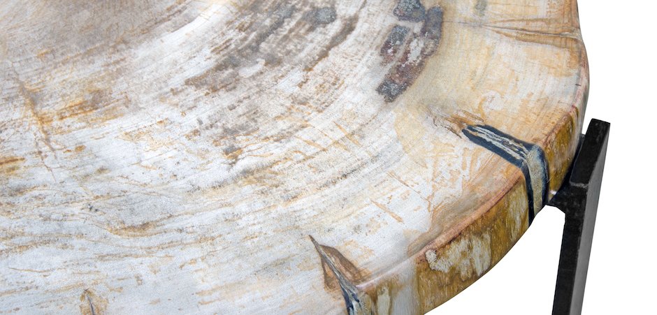 PETRIFIED WOOD COFFEETABLE M Окаменелое дерево PETRIFIED WOOD COFFEETABLE M Окаменелое дерево - Loft-Concept в Брянске