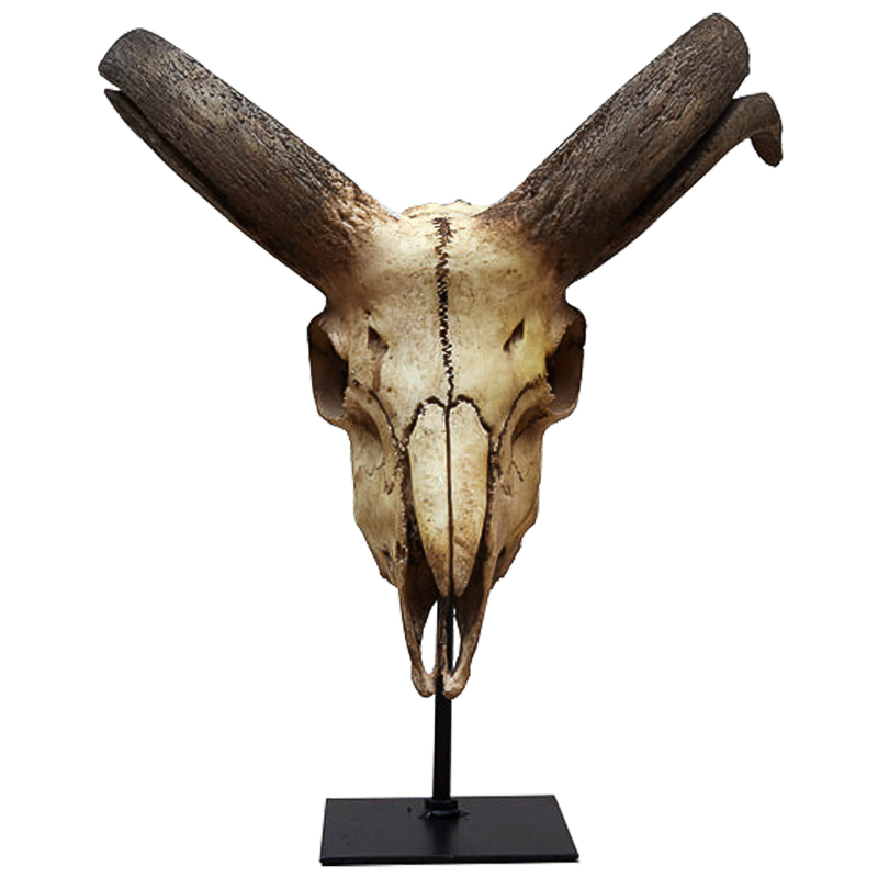 Аксессуар Goat Skull Бежевый Коричневый Черный Аксессуар Goat Skull Бежевый Коричневый Черный в Брянске | Loft Concept