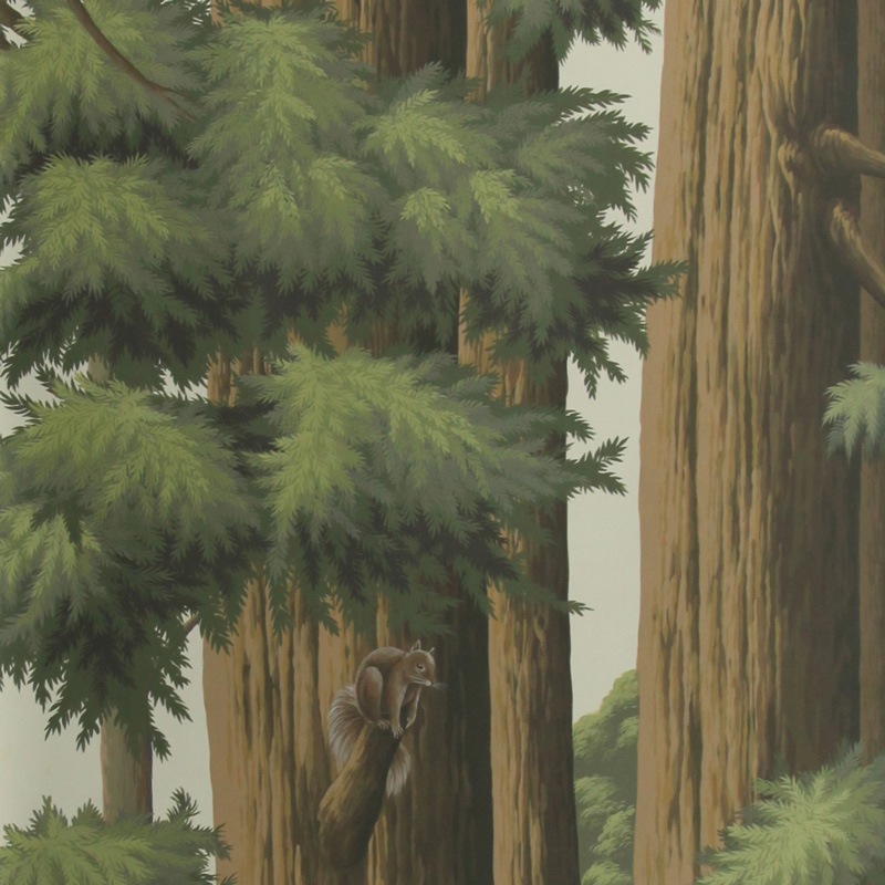 Обои ручная роспись Redwoods Colourway SC-281 on scenic paper Обои ручная роспись Redwoods Colourway SC-281 on scenic paper в Брянске | Loft Concept
