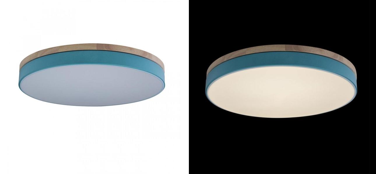 Потолочный светильник Wooden Wheels Blue диаметр 50 - фото