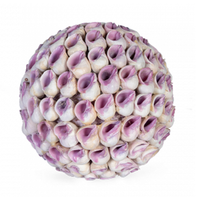 Статуэтка Coral Decor ball Коричневый Статуэтка Coral Decor ball Коричневый в Брянске | Loft Concept