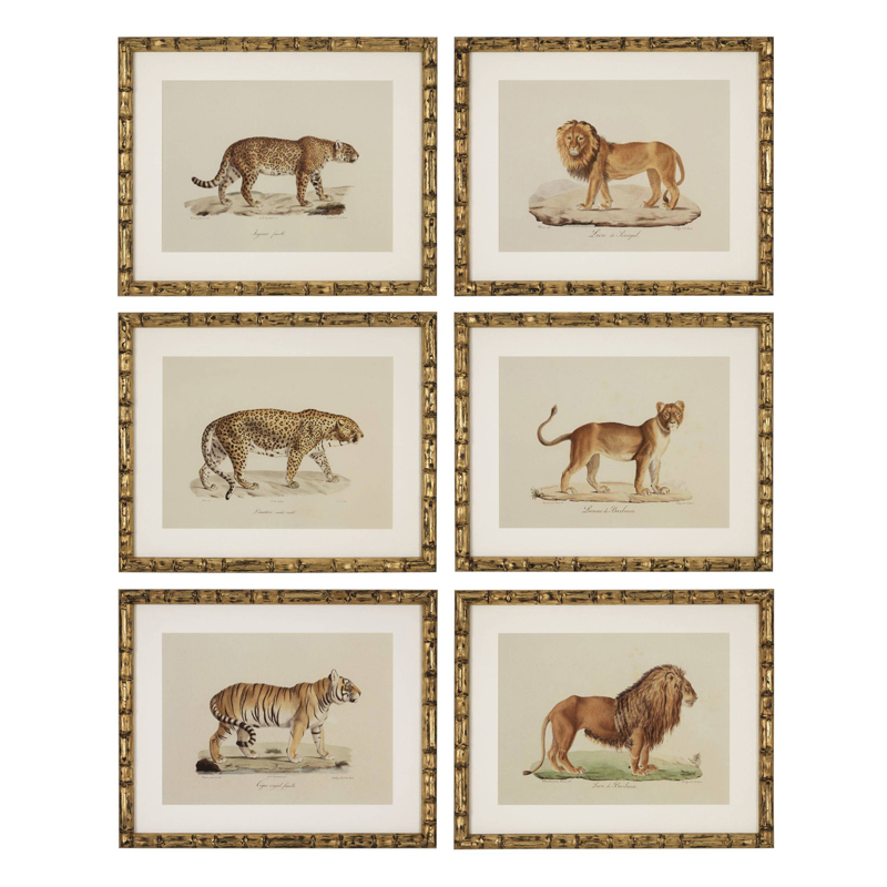 Комплект постеров Eichholtz Prints Lion Tigre Jaguar set of 6 Золотой Бежевый Мульти Комплект постеров Eichholtz Prints Lion Tigre Jaguar set of 6 Золотой Бежевый Мульти в Брянске | Loft Concept