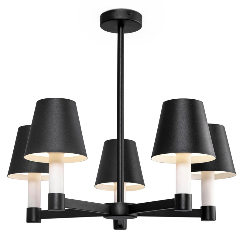 Люстра Eremon Chandelier 5 Черный Люстра Eremon Chandelier 5 Черный в Брянске | Loft Concept