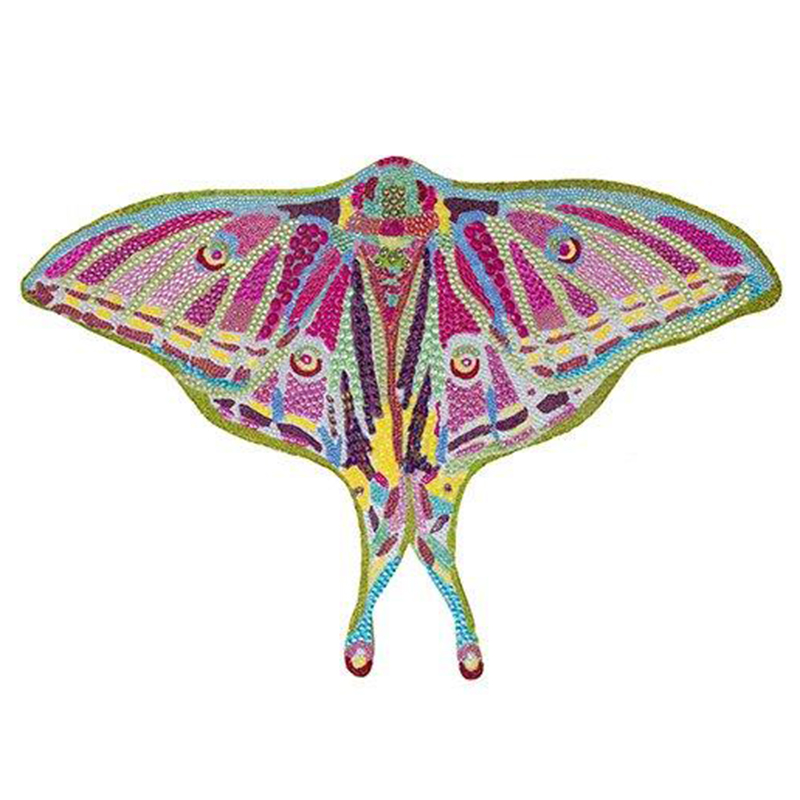 Картина “Spanish Moon Moth Butterfly Cut Out” Мульти Картина “Spanish Moon Moth Butterfly Cut Out” Мульти в Брянске | Loft Concept