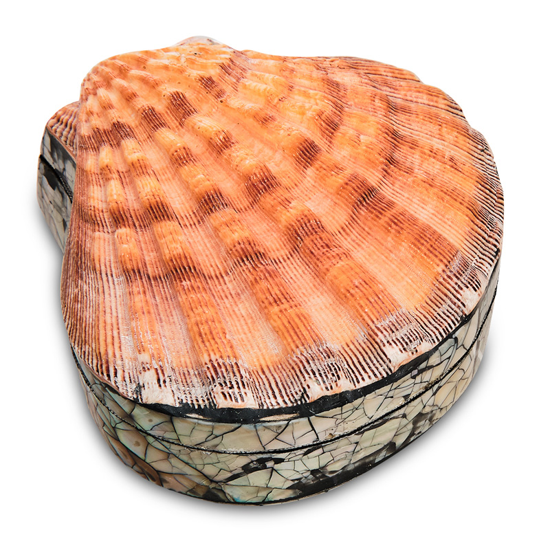 Шкатулка Shell Box II Коралловый Шкатулка Shell Box II Коралловый в Брянске | Loft Concept