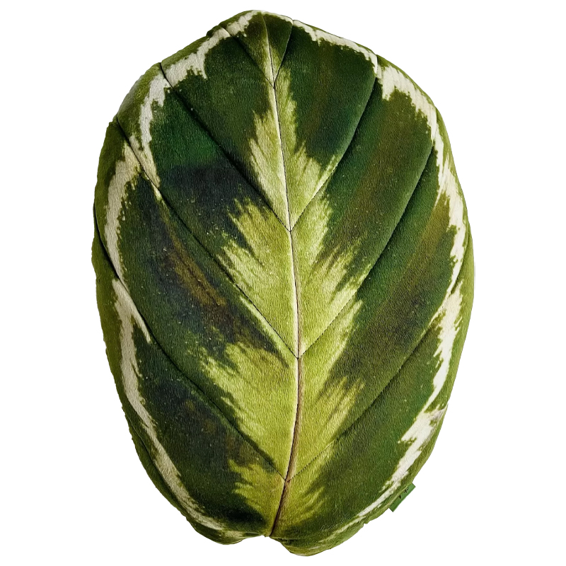 Декоративная подушка Botanical Cushion Calathea Medallion Зеленый Декоративная подушка Botanical Cushion Calathea Medallion Зеленый в Брянске | Loft Concept