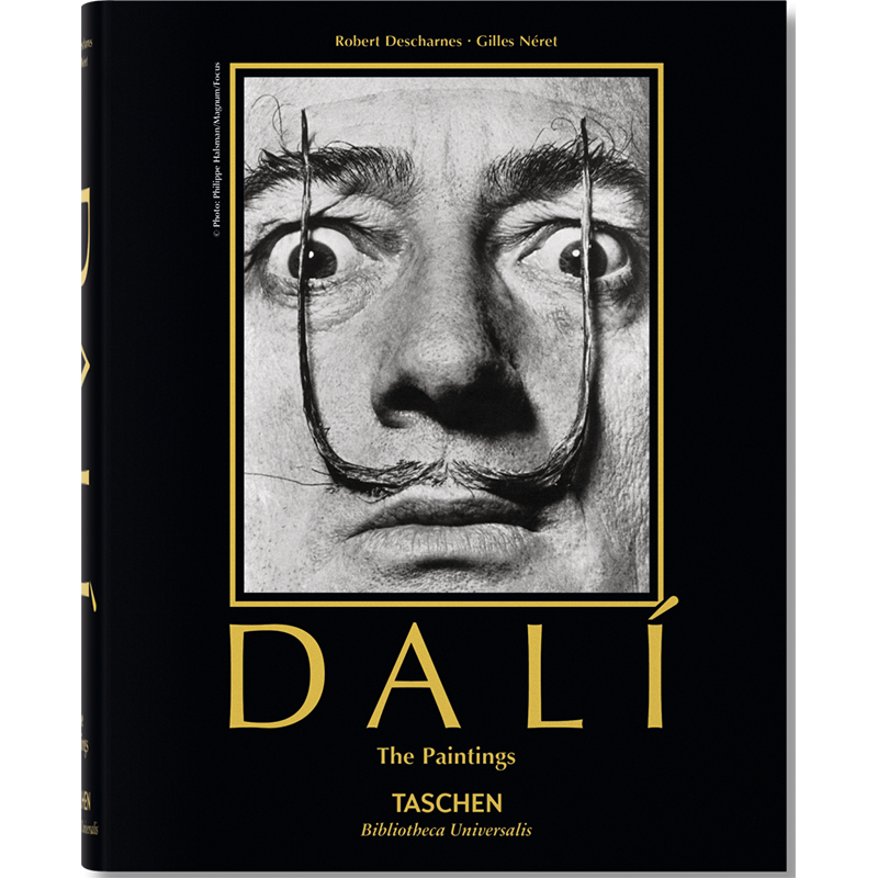 Salvador Dali. Paintings  в Брянске | Loft Concept 