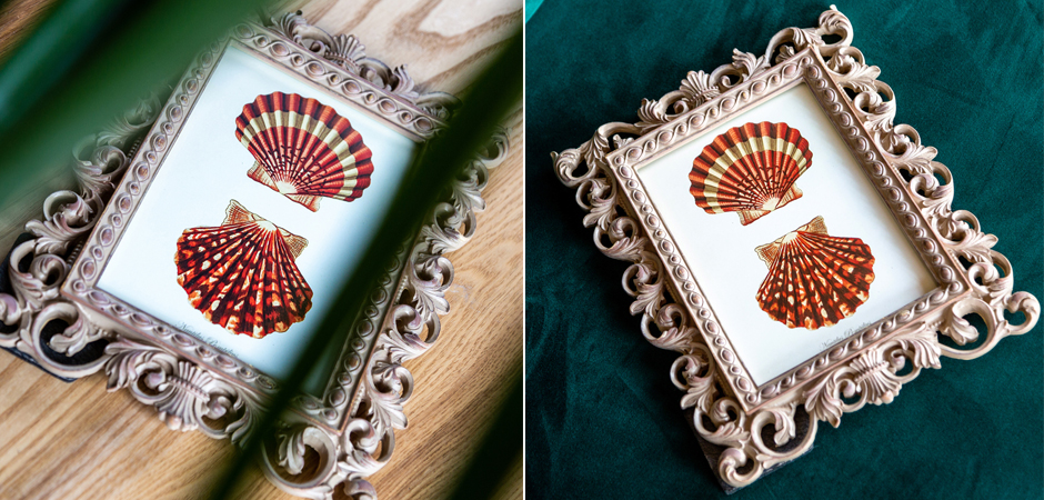 Постер Red Scallop Poster - Loft-Concept в Брянске