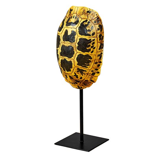 Статуэтка Yellow Tortoise Shell Черный Желтый Статуэтка Yellow Tortoise Shell Черный Желтый в Брянске | Loft Concept