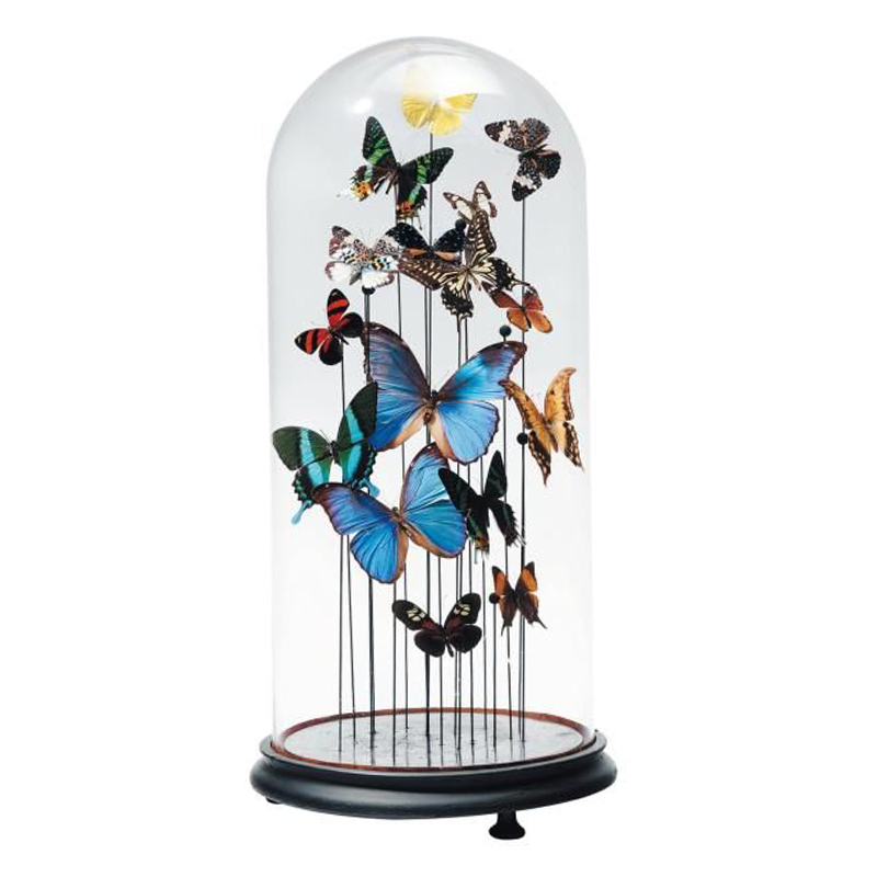 Статуэтка 15 Butterflies Glass Cloche Статуэтка 15 Butterflies Glass Cloche в Брянске | Loft Concept