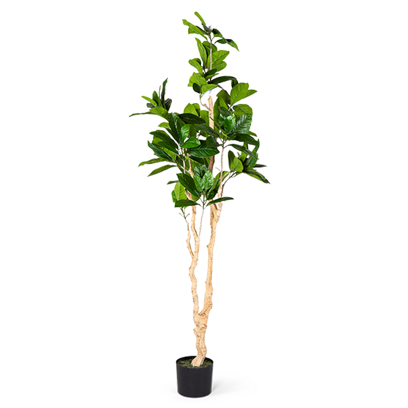 Декоративный искусственный цветок Decorative Tree h187 Зеленый Декоративный искусственный цветок Decorative Tree h187 Зеленый в Брянске | Loft Concept