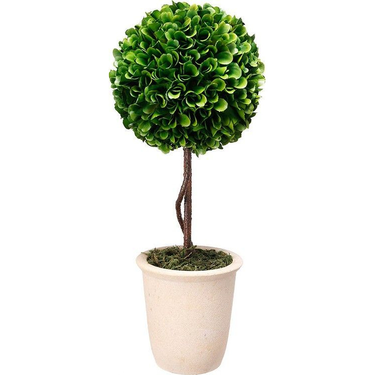 Декоративный искусственное растение Single boxwood Зеленый Бежевый Коричневый Декоративный искусственное растение Single boxwood Зеленый Бежевый Коричневый в Брянске | Loft Concept