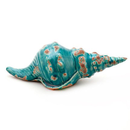 Ракушка Shell Turquoise #1 Бирюзовый Ракушка Shell Turquoise #1 Бирюзовый в Брянске | Loft Concept