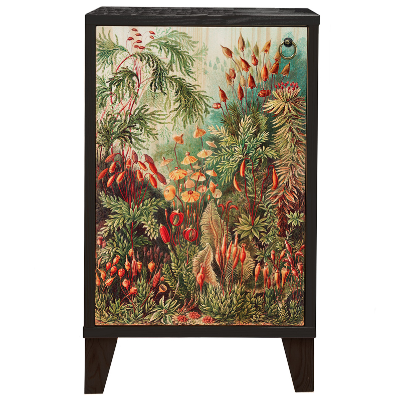 Тумба с цветочным изображением Floral Print Nighstand Черный Мульти Тумба с цветочным изображением Floral Print Nighstand Черный Мульти в Брянске | Loft Concept