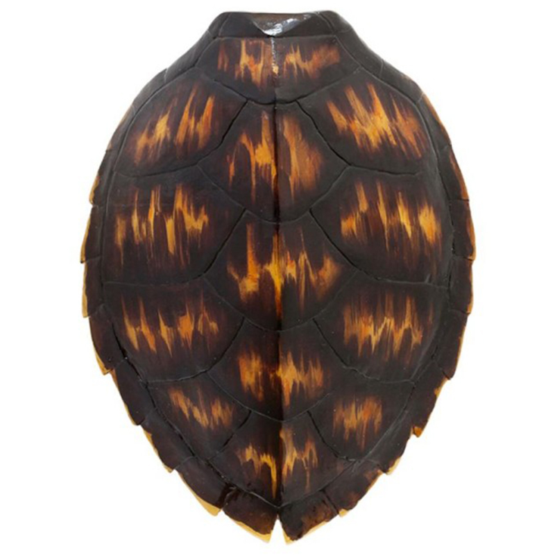 Аксессуар Turtle Shell Brown Orange Коричневый Оранжевый Аксессуар Turtle Shell Brown Orange Коричневый Оранжевый в Брянске | Loft Concept