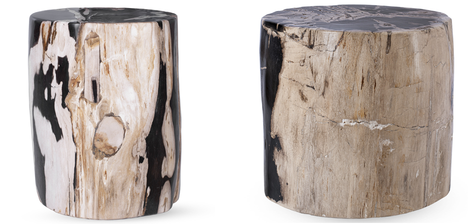 Пенек из окаменелого дерева black and white - фото №2