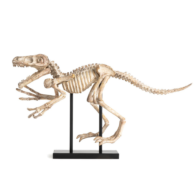 Статуэтка Dinosaur Skeleton big Бежево-серый Статуэтка Dinosaur Skeleton big Бежево-серый в Брянске | Loft Concept