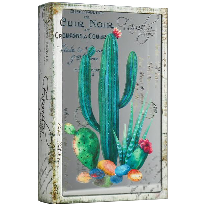 Шкатулка-книга Cactus Mirror Book Box Бежевый Зеленый Шкатулка-книга Cactus Mirror Book Box Бежевый Зеленый в Брянске | Loft Concept