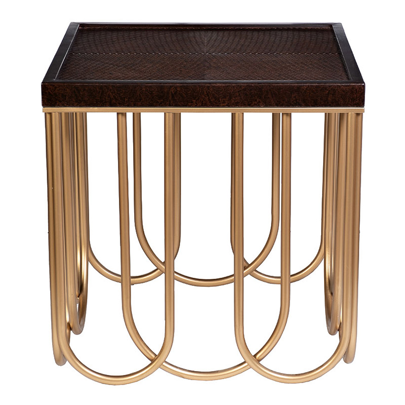 Приставной стол Cassel Side Table Дерево Табак Золотой Приставной стол Cassel Side Table Дерево Табак Золотой в Брянске | Loft Concept