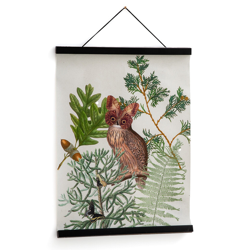 Постер Poster of Plants & Birds сова Мульти Постер Poster of Plants & Birds сова Мульти в Брянске | Loft Concept