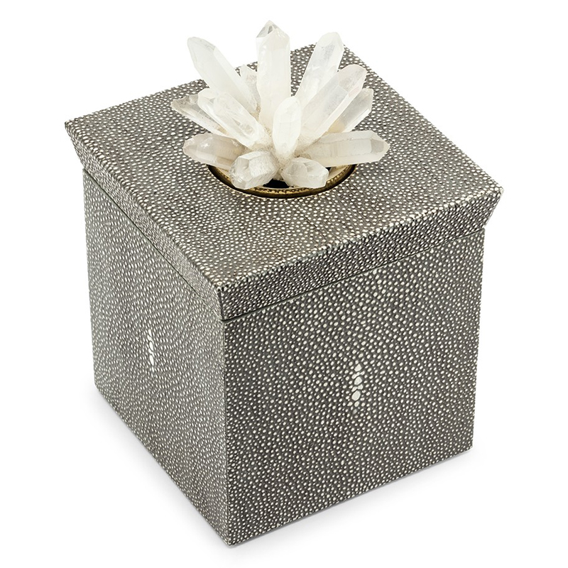 Шкатулка BOX KRIZIA STING SQ Светло-серый Прозрачный Шкатулка BOX KRIZIA STING SQ Светло-серый Прозрачный в Брянске | Loft Concept