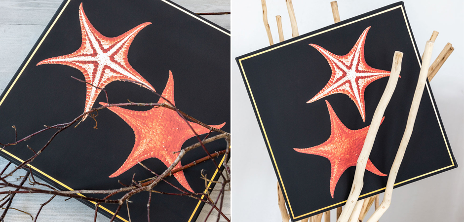 Постер Sea Stars Poster Постер Sea Stars Poster - Loft-Concept в Брянске