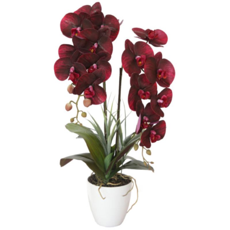 Искусственная орхидея Мультифлора burgundy Бордовый Искусственная орхидея Мультифлора burgundy Бордовый в Брянске | Loft Concept