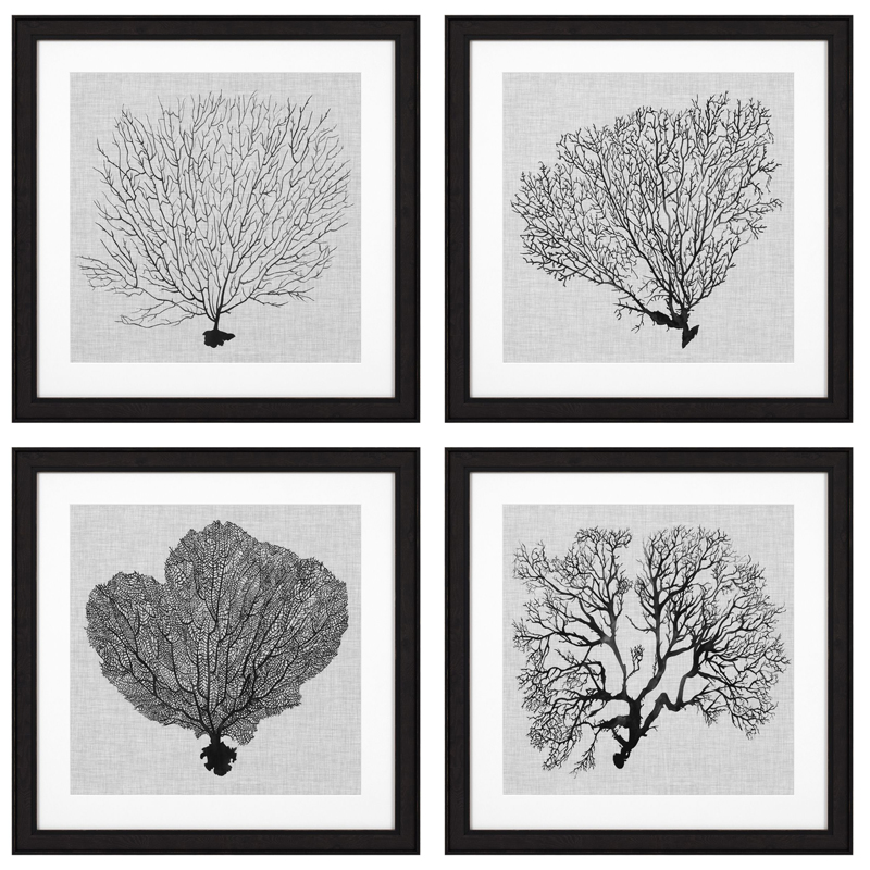 Комплект постеров Eichholtz Prints Shadow Sea Fans set of 4 Черный Черно-белый в Брянске | Loft Concept 