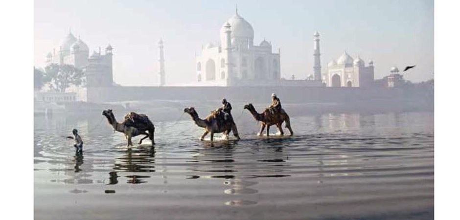 Книга ROLAND & SABRINA MICHAUD: ENCHANTED LANDS - фото №2