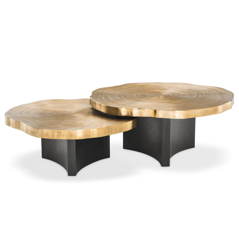 Комплект кофейных столов Eichholtz Coffee Table Thousand Oaks set of 2 Черный Латунь Комплект кофейных столов Eichholtz Coffee Table Thousand Oaks set of 2 Черный Латунь в Брянске | Loft Concept