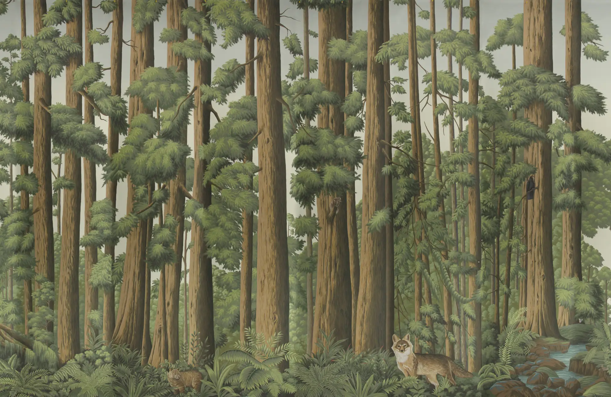 Обои ручная роспись Redwoods Colourway SC-281 on scenic paper Обои ручная роспись Redwoods Colourway SC-281 on scenic paper - постер Loft-Concept в Брянске