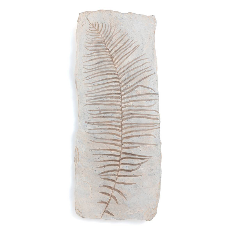 Аксессуар на стену Tropical Leaf Бежево-серый Аксессуар на стену Tropical Leaf Бежево-серый в Брянске | Loft Concept