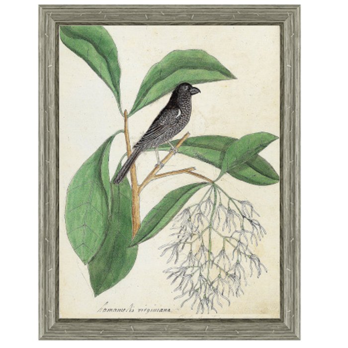 Постер Black Bird & White Flowers Постер Black Bird & White Flowers в Брянске | Loft Concept