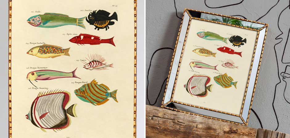 Постер в зеркальной раме Fish Guide 4 - Loft-Concept в Брянске