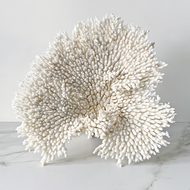 Статуэтка Table Coral  в Брянске | Loft Concept 