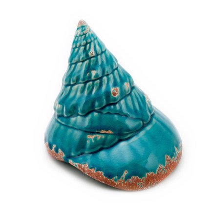 Ракушка Shell Turquoise #2 Бирюзовый Ракушка Shell Turquoise #2 Бирюзовый в Брянске | Loft Concept