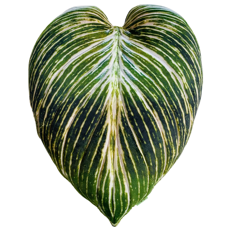 Декоративная подушка Botanical Cushion Philodendron Birkin Зеленый Салатовый Белый Декоративная подушка Botanical Cushion Philodendron Birkin Зеленый Салатовый Белый в Брянске | Loft Concept