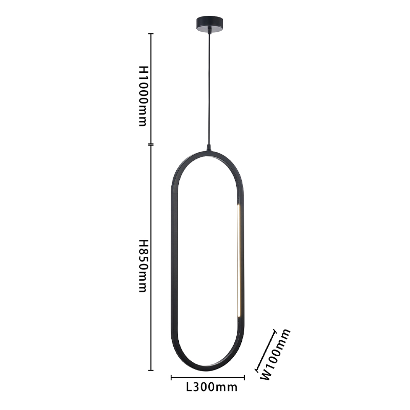 Овальный подвесной светильник Roll and Hill Black в Брянске