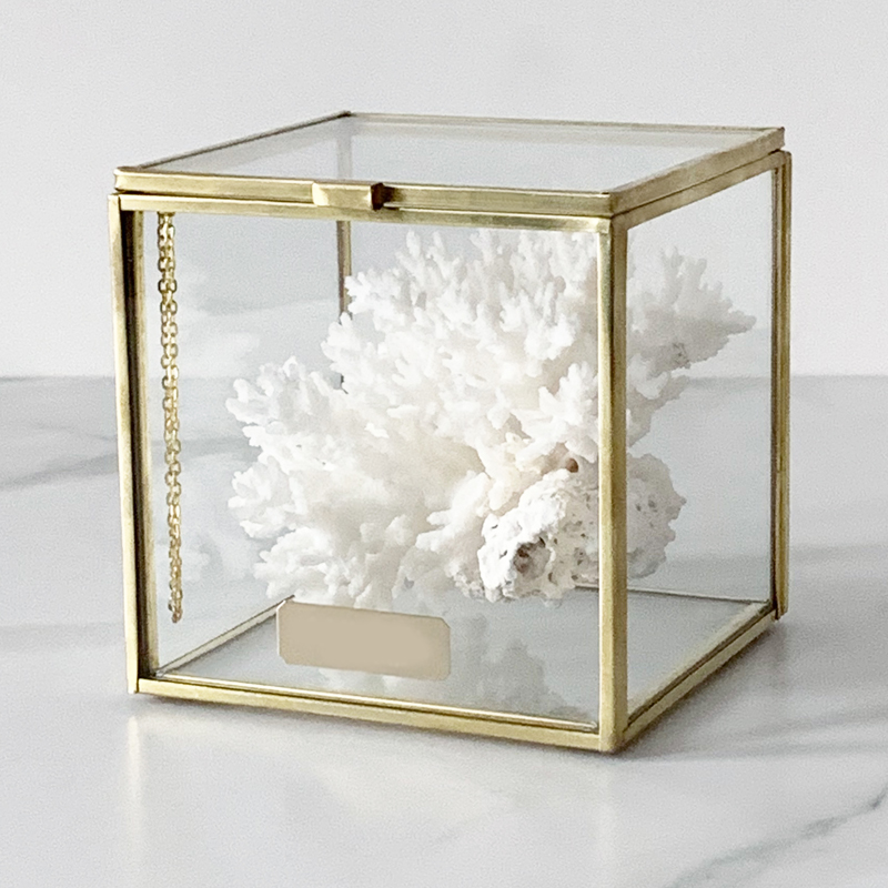 Статуэтка Natural Coral Glass Box S Статуэтка Natural Coral Glass Box S в Брянске | Loft Concept