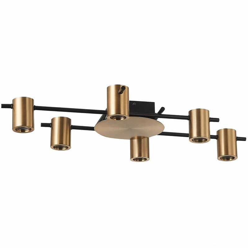 Потолочный светильник Aigle Ceiling Light 6 Черный Латунь Потолочный светильник Aigle Ceiling Light 6 Черный Латунь в Брянске | Loft Concept